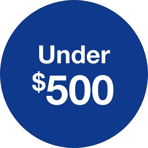 Gifts Under $500